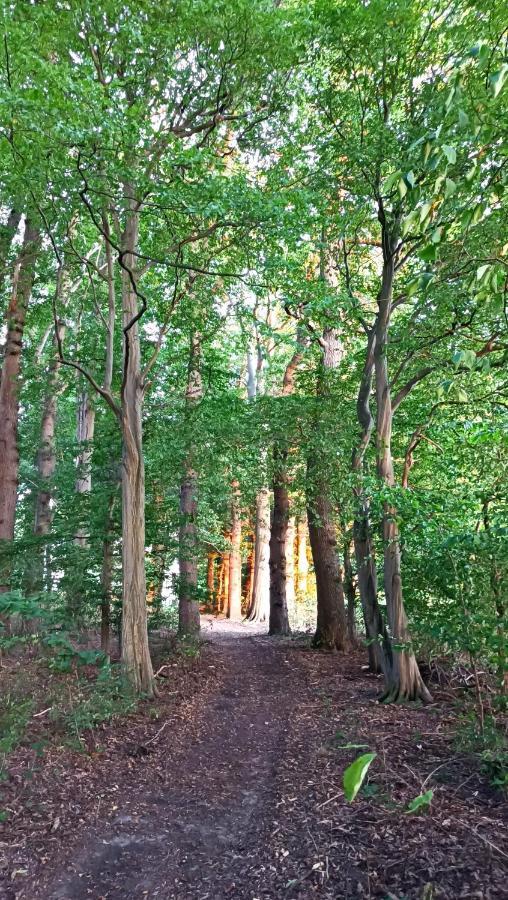 Herrenhaus Harmshagen Testorf-Steinfort エクステリア 写真